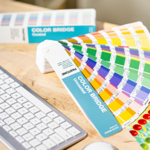 Essentials Guide Set - Image 5